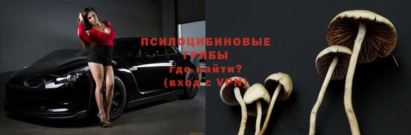 Альфа ПВП Нея