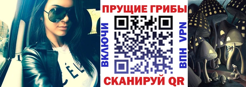 Псилоцибиновые грибы MAGIC MUSHROOMS  Тверь 