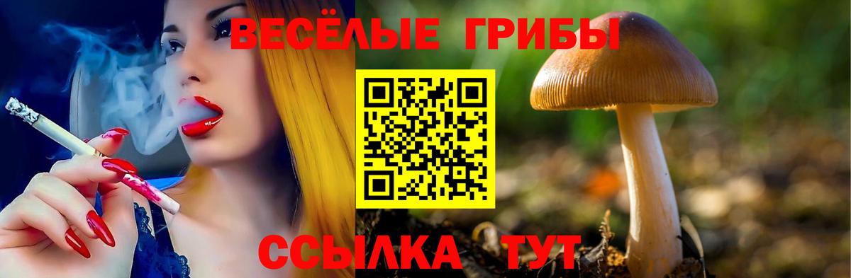 Псилоцибиновые грибы мухоморы Тверь