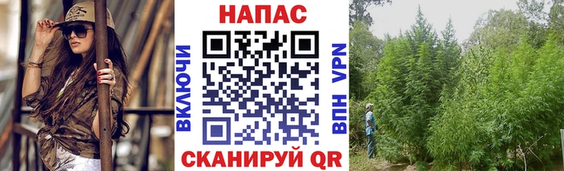 Марихуана VHQ  купить наркотики цена  Тверь 
